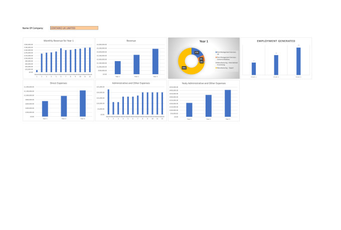 develop financial model forecast